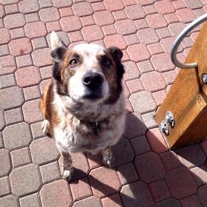 Meet your Posher, Melanie